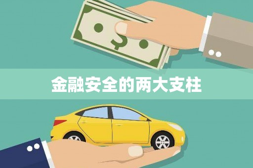 鼎城金融安全的两大支柱