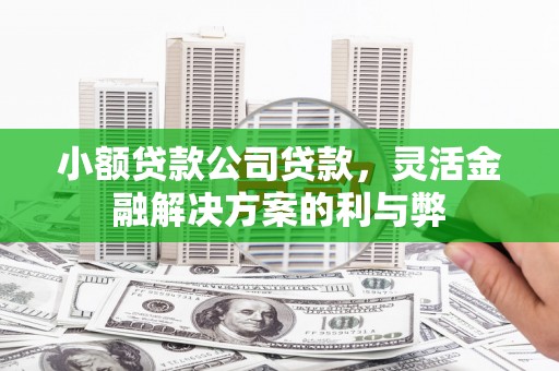 鼎城小额贷款公司贷款，灵活金融解决方案的利与弊