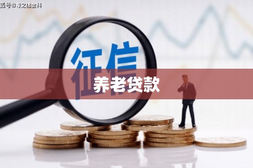 鼎城养老贷款