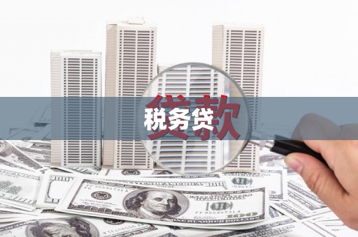 鼎城税务贷