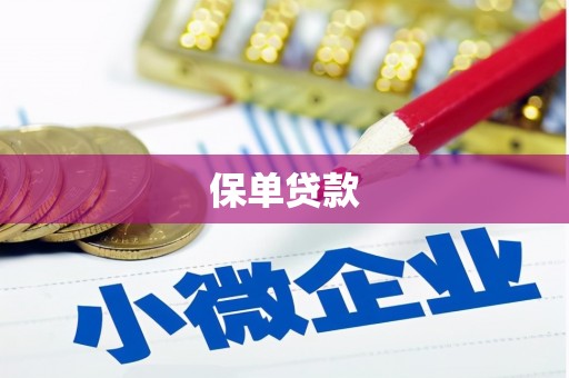 鼎城保单贷款